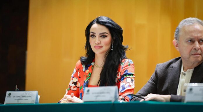 LEGISLATIVO FEDERAL / RECONOCE VICECOORDINADORA GABRIELA JIMÉNEZ REDUCCIÓN HISTÓRICA DE 46% EN HOMICIDIOS; AFIRMA QUE LA ESTRATEGIA DE SEGURIDAD DE LA PRESIDENTA SHEINBAUM ESTÁ DANDO RESULTADOS