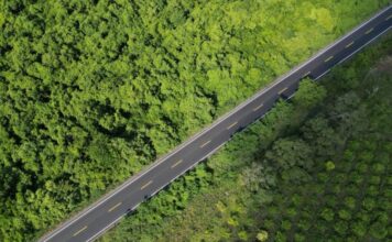 EJECUTIVO VERACRUZ / Rocío Nahle entrega 33 kilómetros completamente rehabilitados de la carretera Álamo–Tihuatlán