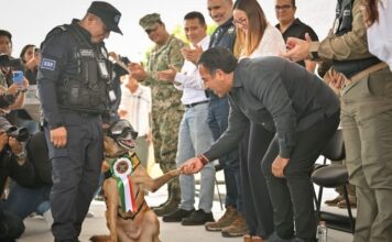 EJECUTIVO CHIAPAS / Eduardo Ramírez atestigua ceremonia de jubilación de caninos y equinos de la Secretaría de Seguridad del Pueblo