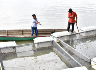 EJECUTIVO TABASCO / Mujeres rompen prejuicios con el programa Pescando Vida