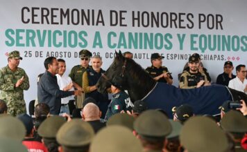 EJECUTIVO CHIAPAS / Eduardo Ramírez atestigua ceremonia de jubilación de caninos y equinos de la Secretaría de Seguridad del Pueblo