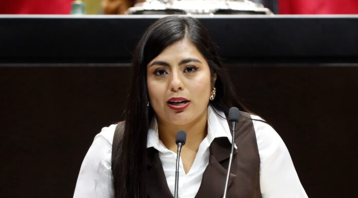 LEGISLATIVO FEDERAL / Proponen que IMJUVE impulse programas sobre salud mental y prevención del suicidio entre la juventud