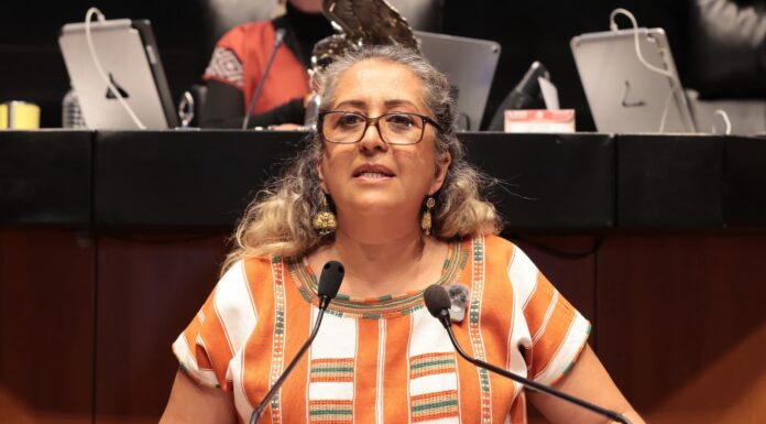 LEGISLATIVO FEDERAL / Busca iniciativa elevar a rango constitucional el derecho de toda persona a su identidad digital