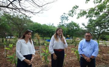 MÉRIDA, YUCATÁN / Cecilia Patron entrega primer jardín de lluvia para prevenir encharcamientos en Ciudad Caucel