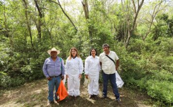 EJECUTIVO MORELOS / Promueve Margarita González Saravia consumo de miel morelense en apoyo a la economía de apicultores